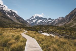 Grounded governance advice and support NZ