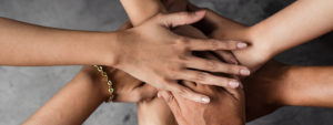 Trust and Transparency in governance - Grounded Governance