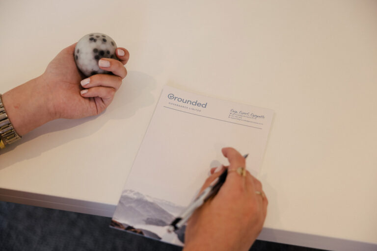 board health check grounded governance support and advice nz