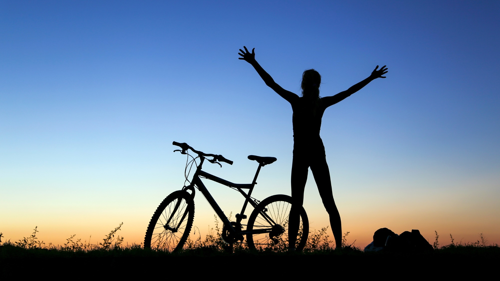 Board Healthy Lifecycle Blog
